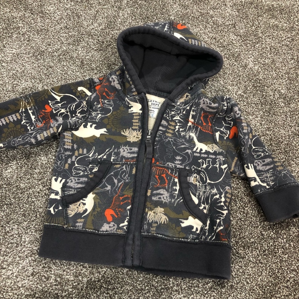 Dino hoodie 18 months